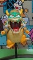 Koopa Taiji