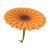 Flower Glider