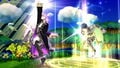Pair Up in Super Smash Bros. for Wii U