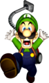 Luigi