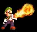Luigi using the Fire Element Medal