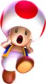 Toad and his species